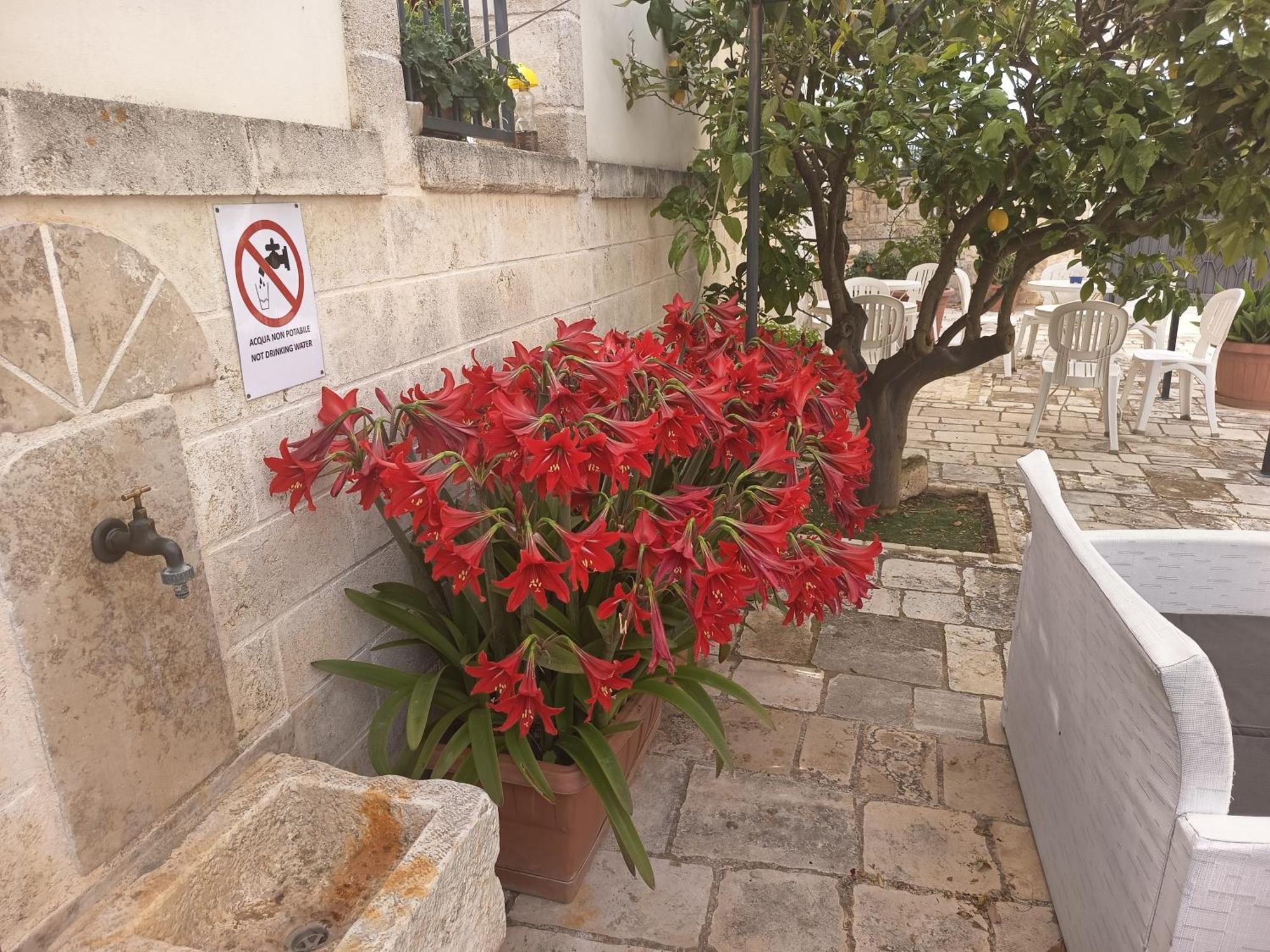 B&B Il Mulino Del Monastero Conversano Exterior photo